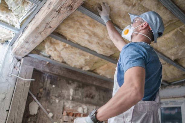 Best Insulation Materials and Products in Houston, AK